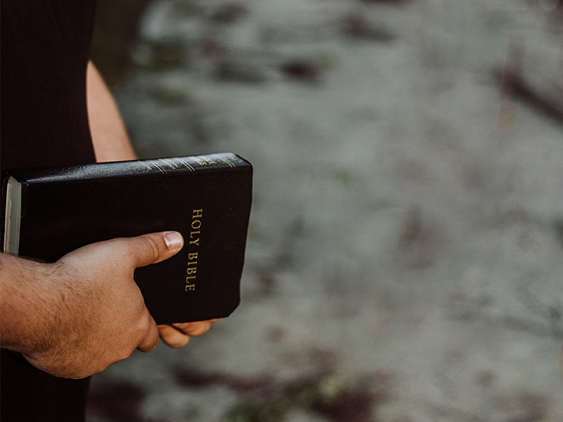 Person holding Bible