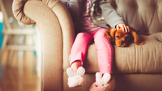 Girl sitting on couch with dog