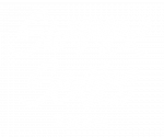 Summer series 2024